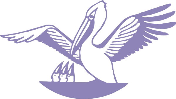 Пеликан символ конкурса учитель года