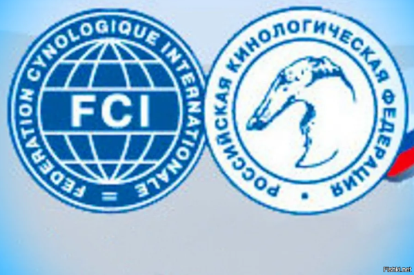 Международной кинологической Федерации (FCI)