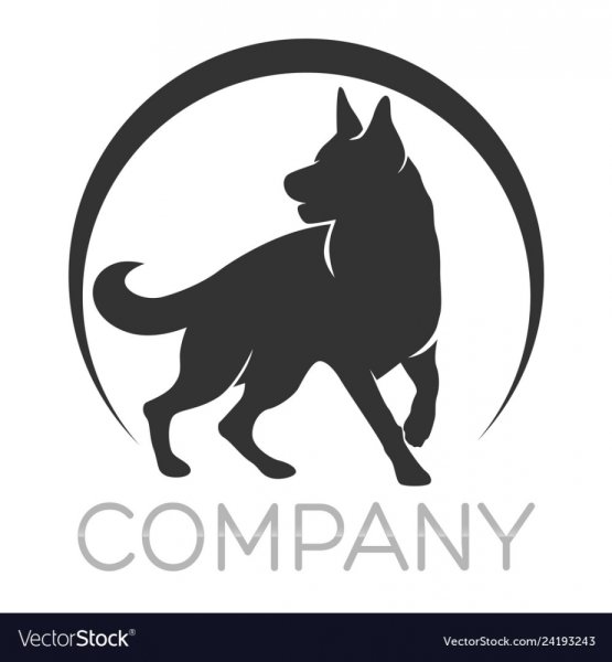 Дрессировка собак логотип