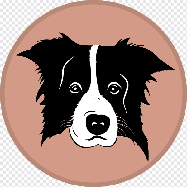 Бордер колли вектор