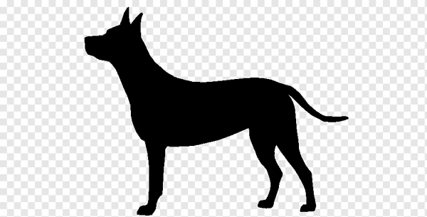 Силуэт собаки на прозрачном фоне