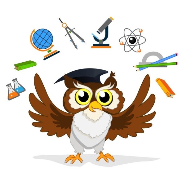 Мудрая Сова