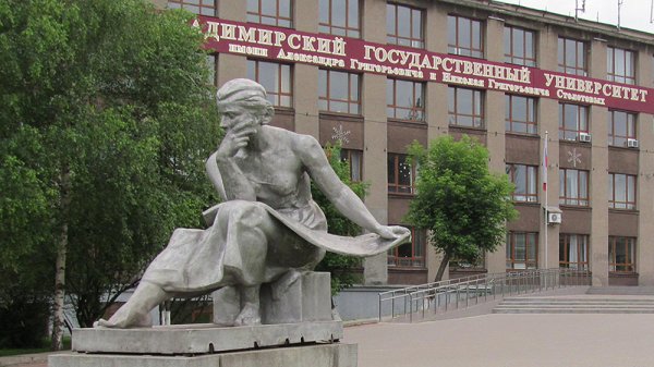 Владимирский государственный университет им а.г и н.г Столетовых