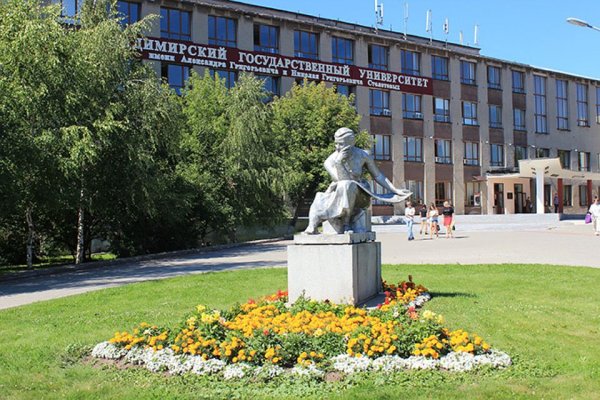 ВЛГУ Владимир институт