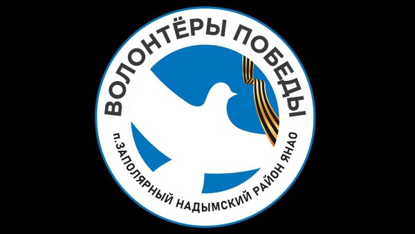 Волонтеры Победы лого