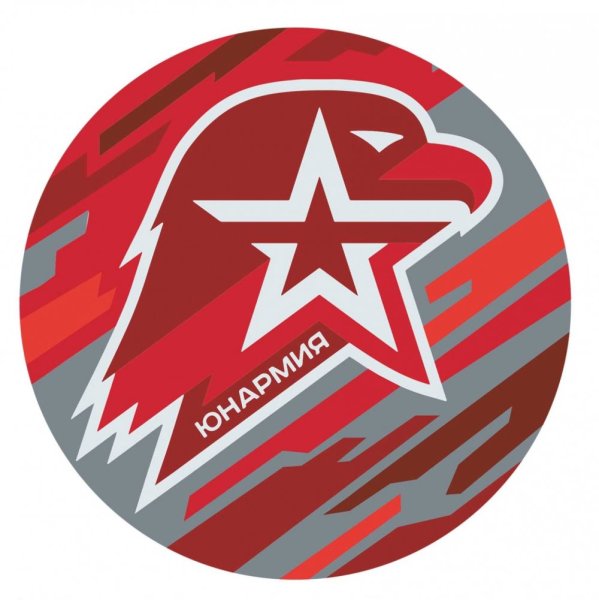 Эмблема юнармейцев