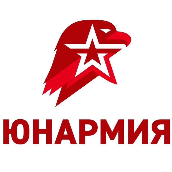 Юнармия эмблема