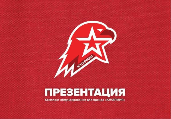 Флаг Юнармии