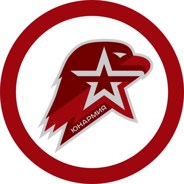 Жетон Юнармия