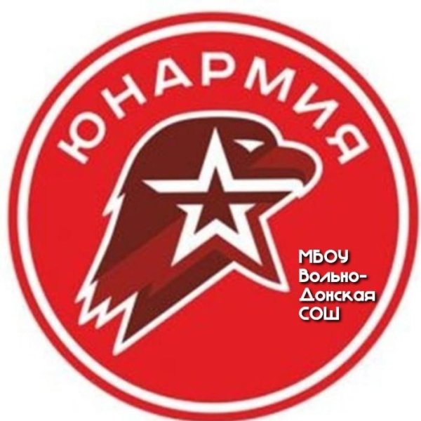 Круглый значок юнармиио