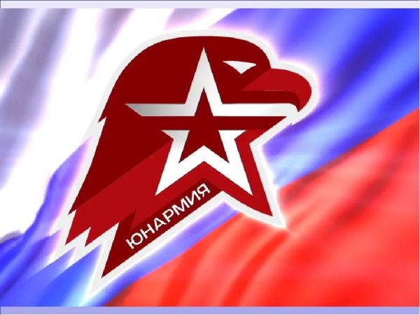 Юнармия герб