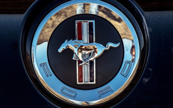 Значки сзади машины Форд Мустанг