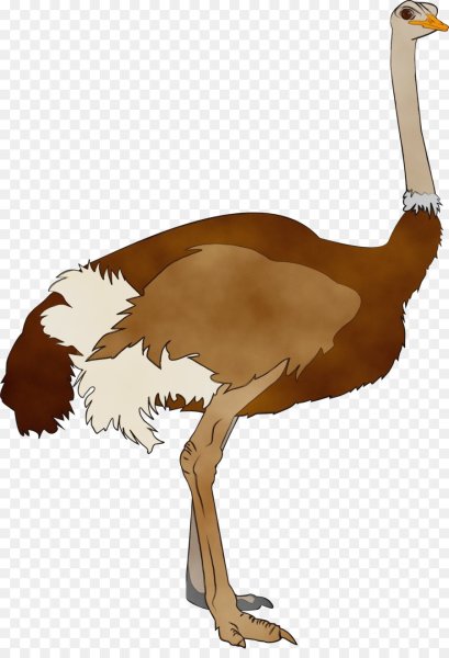 Эму мультяшный