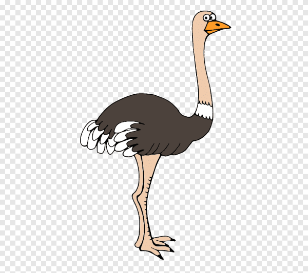 Страусёнок мультяшный