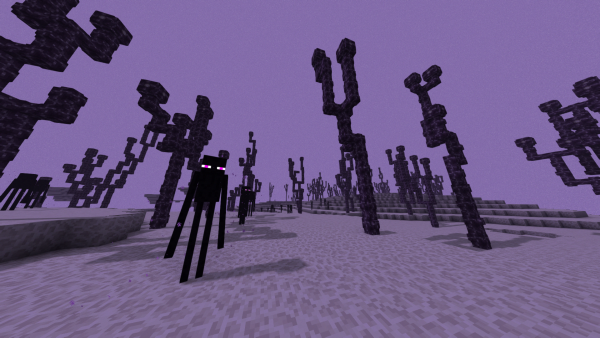 Майнкрафт ЭНДЕР мир