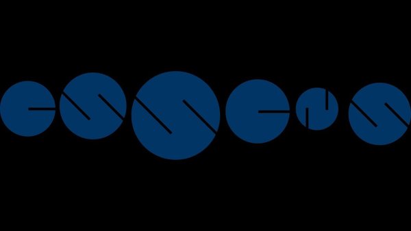 Эссенс логотип прозрачный