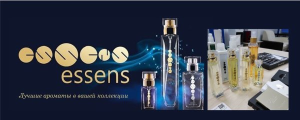 Логотип компании Эссенс