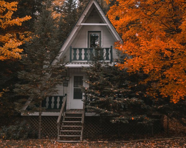 Осень лес дом Эстетика