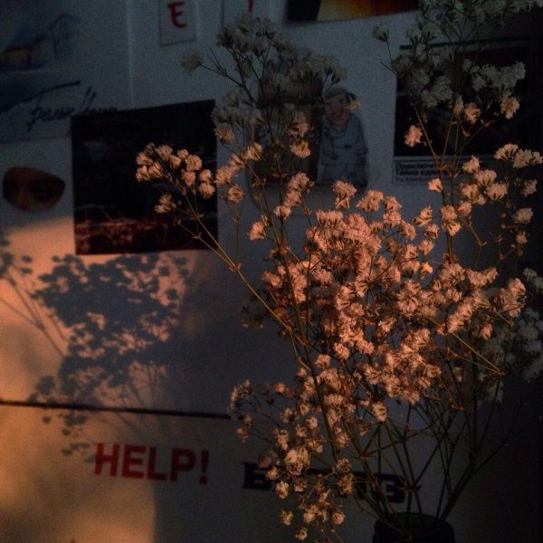 Сохраненки Эстетика с надписями