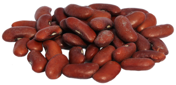 Beans на белом фоне