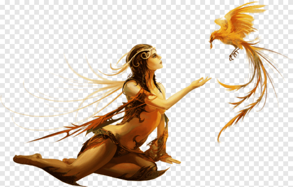 Фэнтези на прозрачном фоне