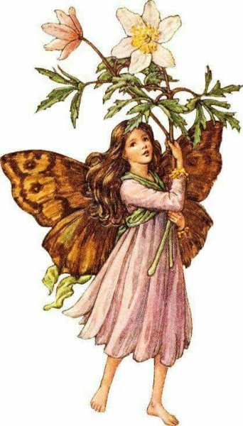 Cicely Mary Barker Angel