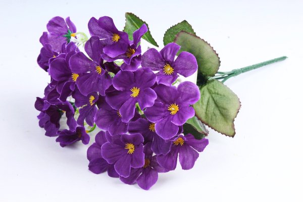 Фиалка лиловый георгин