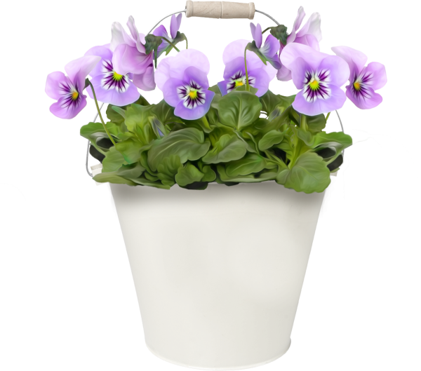 Цветок в горшке на прозрачном фоне