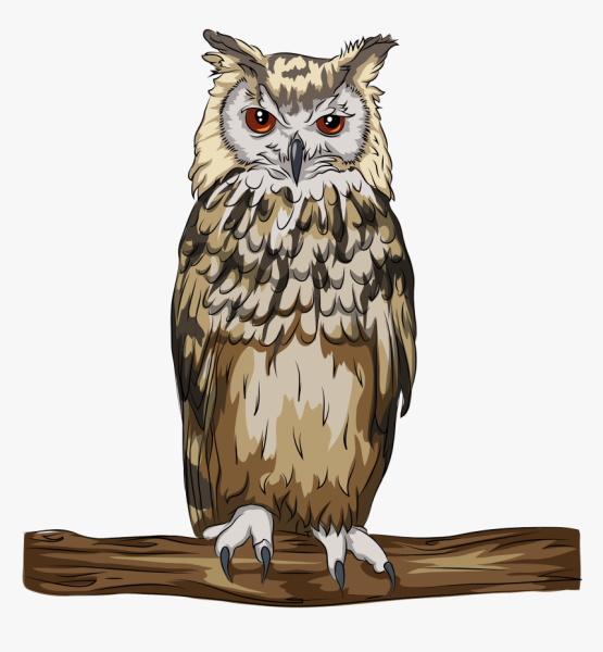 Филин на прозрачном фоне