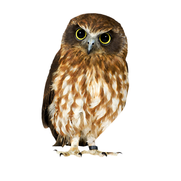 Сова для детей