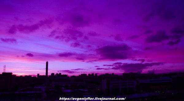 Фиолетовый закат в городе