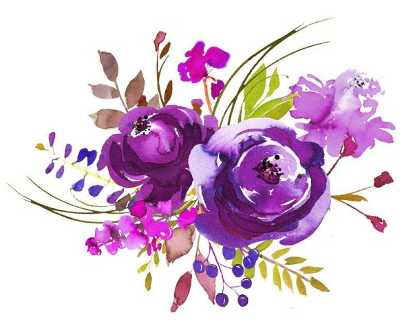 Сиреневые цветы акварель