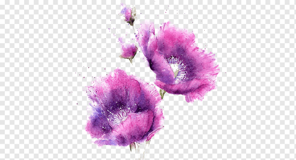 Сиреневые цветы акварель