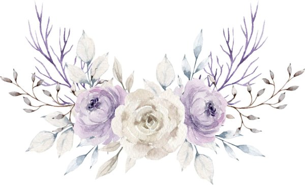 Фиолетовые цветы акварель