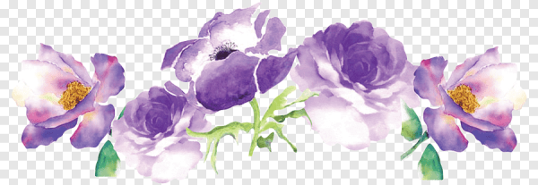 Сиренево розовые цветы полосой акварель