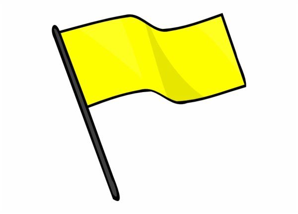 Дети с флажками