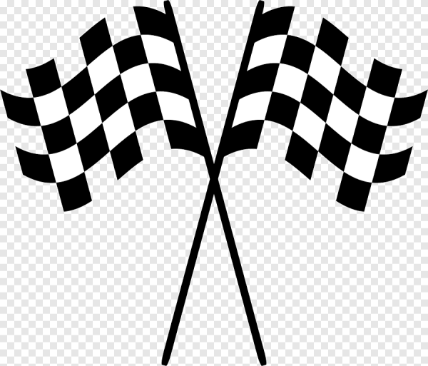 Клечатый флаг формула 1