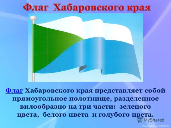 Государственный флаг Хабаровского края
