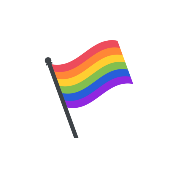 ЛГБТ флаг 2д