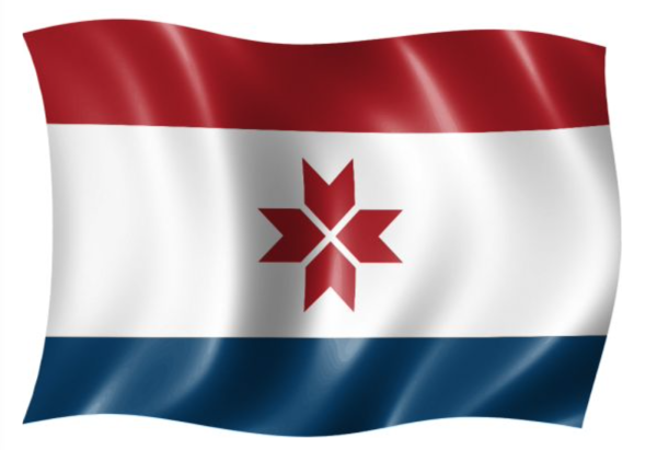 Респ Мордовия флаг