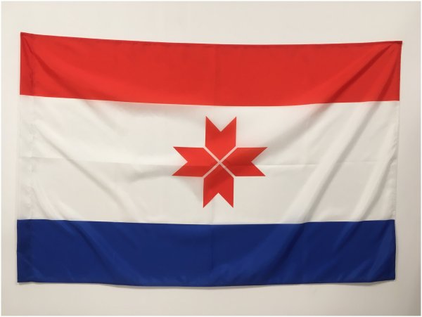 Флаг Саранска