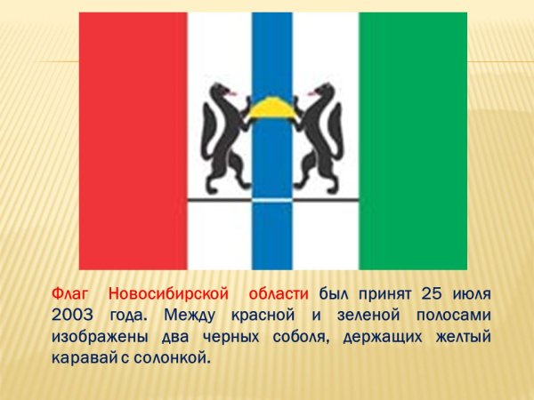 Символика Новосибирской области флаг