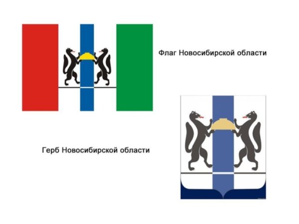 Флаг Новосибирска и Новосибирской области