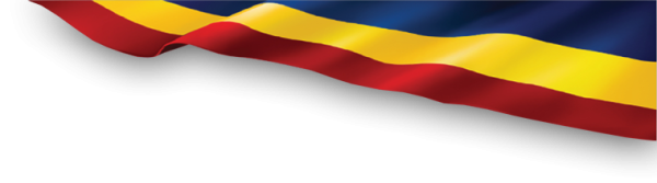 Флаг Ростовской области