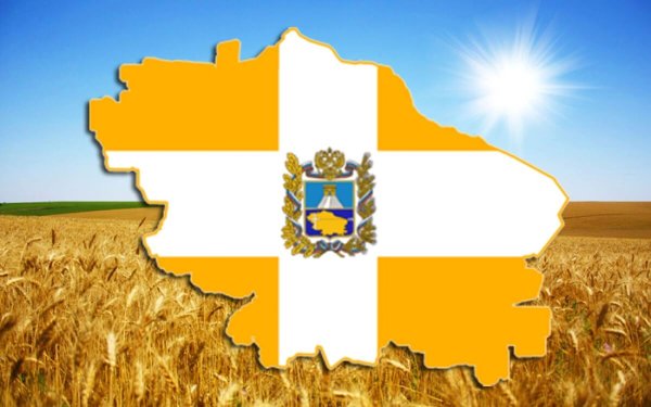 Флаг Ставропольского края города Буденовск