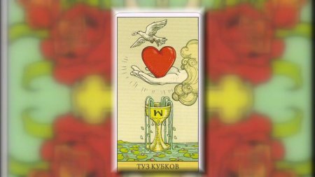 Карта Таро туз чаш