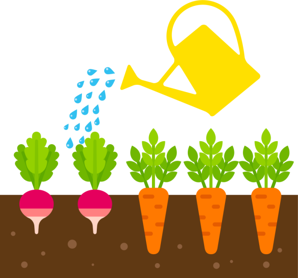 Овощи на грядке вектор