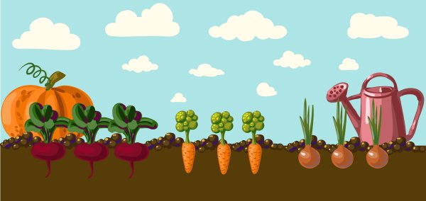 Овощи на грядке 3d