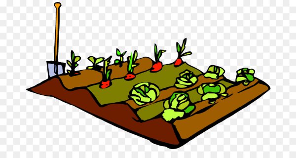 Грядка без фона