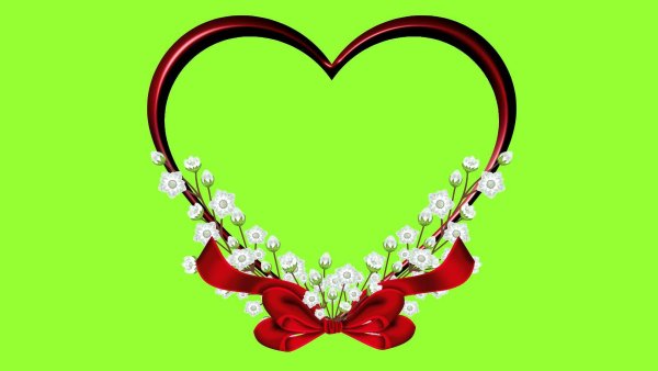 Сердце на зеленом фоне